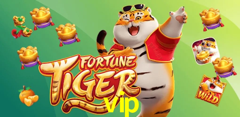 Experiência VIP vip