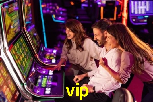 Interface Premium vip